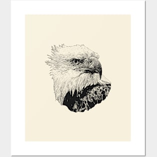 Eagle Posters and Art